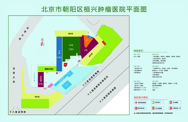 www操逼逼北京市朝阳区桓兴肿瘤医院平面图